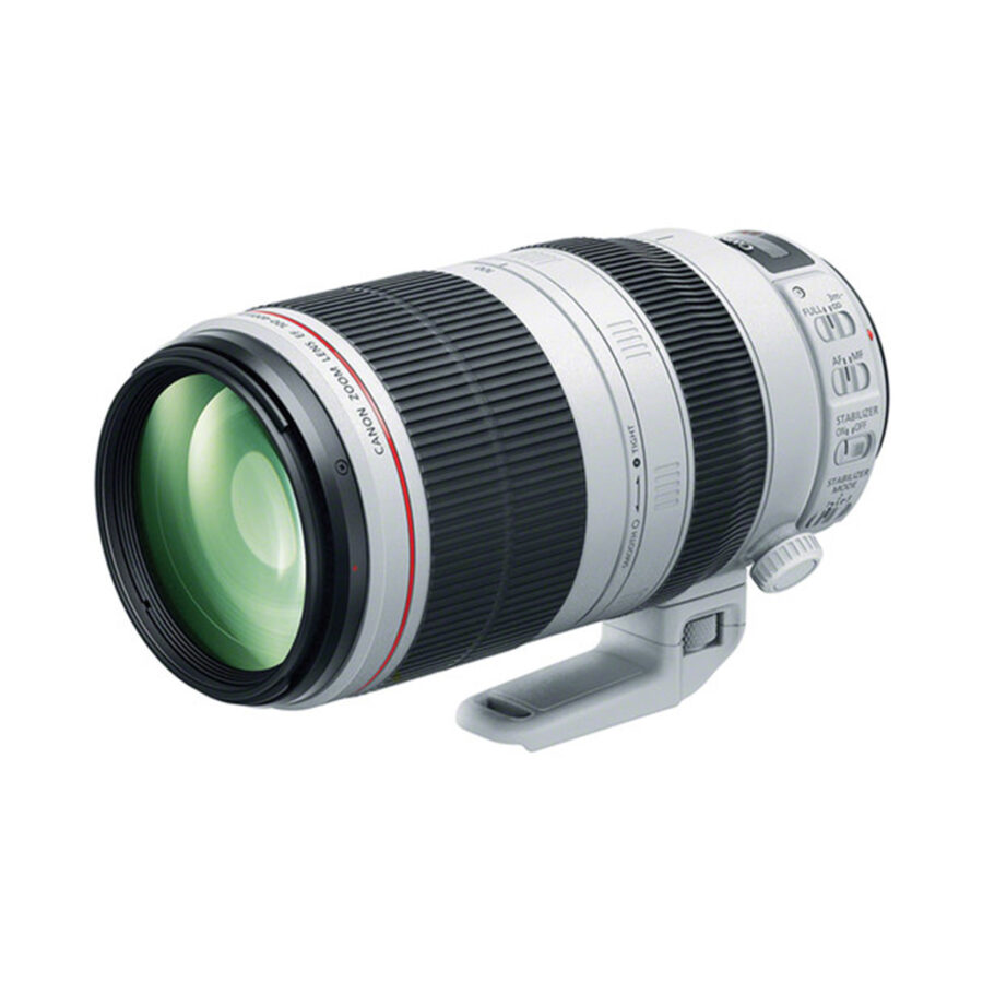 Canon EF 100-400mm f/4.5-5.6L IS II USM - Image 5