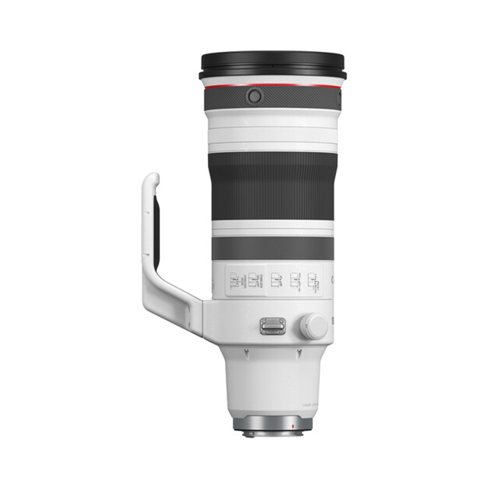 Canon RF 100-300mm f/2.8 L IS USM - Image 2