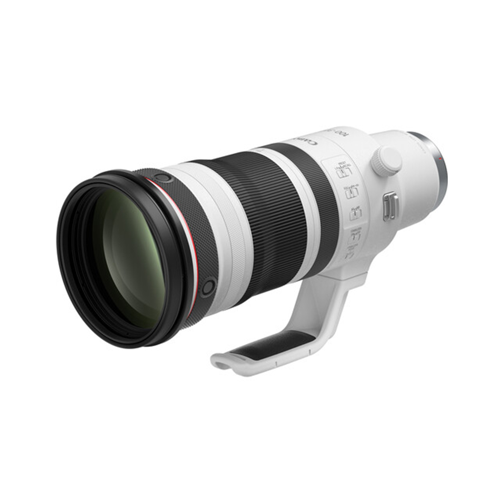 Canon RF 100-300mm f/2.8 L IS USM - Image 5