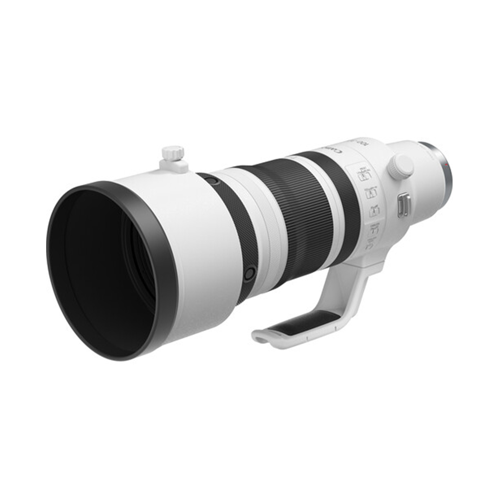 Canon RF 100-300mm f/2.8 L IS USM - Image 6
