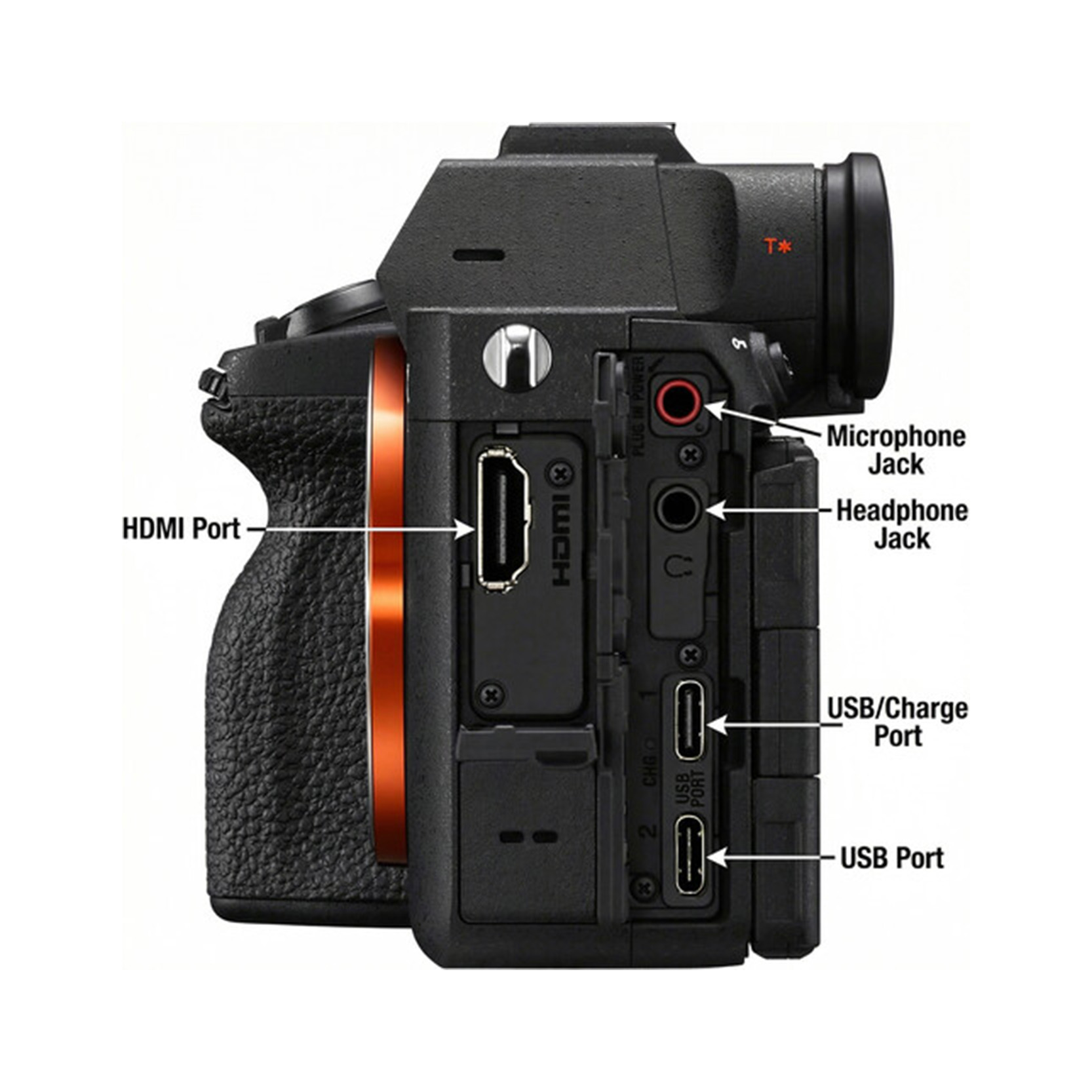 Sony a7 V - Image 11